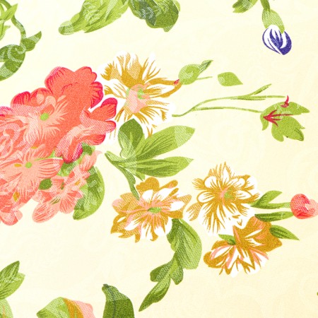 Orthopedic buckwheat, 50 x 60 cm-8
