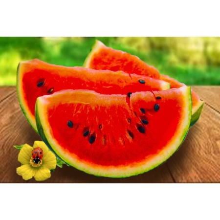 Diamond mosaic "Dolki watermelon" 20 × 30 cm