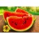 Diamond mosaic "Dolki watermelon" 20 × 30 cm
