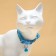 Kotoflash collar, with a tambourine, 30 x 1 cm, polyester, blue