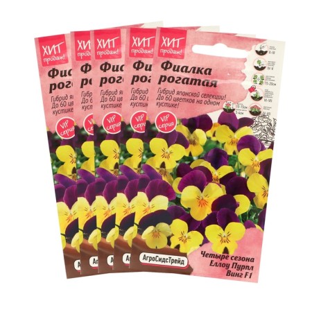 Flower seeds Violet "Ello Purple Wing", set 5 pcs