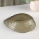Glass Figure Salad "shell", 550 ml, 19.5 × 15 × 6 cm