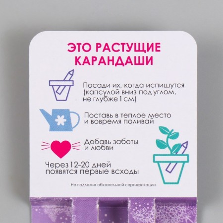 Growing gift pencils Mini "lavender + lilac" set 2 pcs.-2