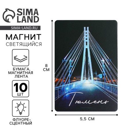 Fluorescent magnet "Tyumen", 8 x 5.5 cm