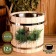 Lipes, 12 liters, stainless insert, stainless rim, ropes, "spruce branch"