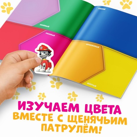 Reusable stickers "Color", A4, puppy patrol-2