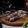 Incense sage, set 3 twists