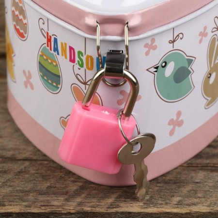 Piggy bank Metal "Beast" with a lock and keys mix 6x7.5x7 cm-4