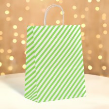 CRAFT package, green lines, 27 x 21 x 11 cm