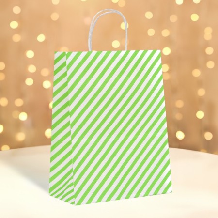 CRAFT package, green lines, 27 x 21 x 11 cm