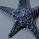 Interior souvenir "Marine Star" 23cm