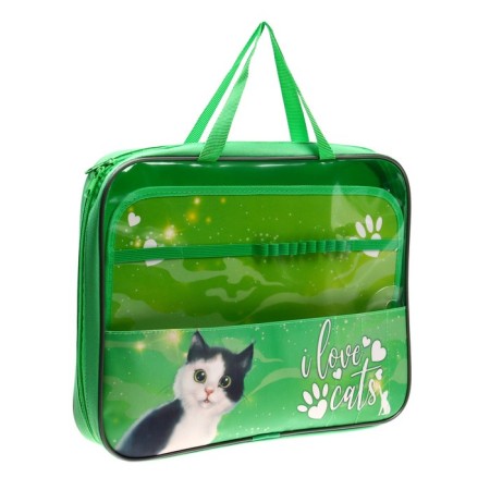 Labor folder A4, 335 x 260 x 60 mm, with handles, textile, PVC, PTR-111 "green-eyed"-1