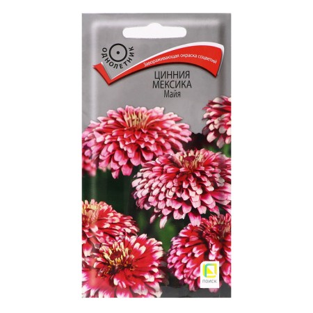 Cinnia flowers "Mexico Maya", 10pcs