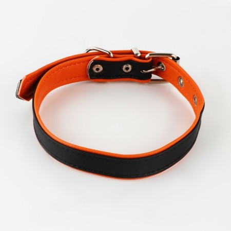 Set of a collar (58x2.5 cm) and a leash (130x1.4 cm) from eco -leather, black with orange-4