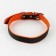Set of a collar (58x2.5 cm) and a leash (130x1.4 cm) from eco -leather, black with orange