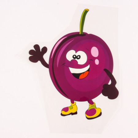 Thermalrotransfer "Plum", set of 10 pcs.