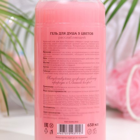 Shower gel Vitamin Family, "5 colors", relaxing, 650 ml-1