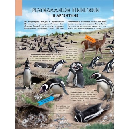 Illustrated Atlas "Seas and Oceans"-8