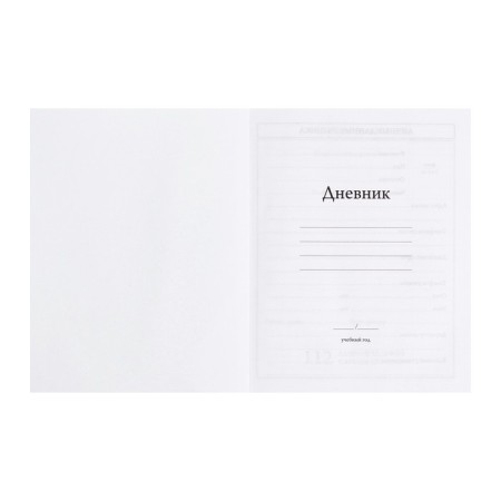 Diary for grades 5-11, 48 sheets "Humanoid", integral cover, matte lamination-3