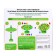 Board game "Hold the Frog", 2-4 players, 5+