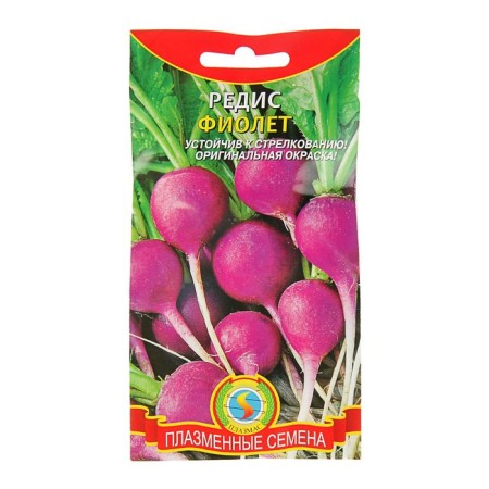 Seeds Radis "Violet", 2 g