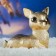 New Year's piggy bank "deer" gold 17x10x18cm