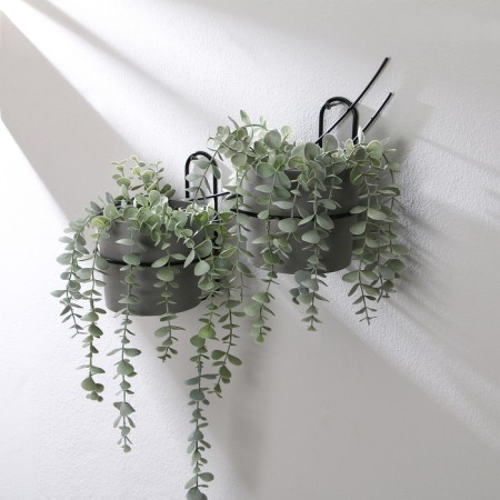 Suspension for Kashpo, wall, 2 pots, d = 16 cm, black, "take -off - 2"-2