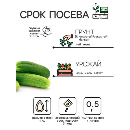 Cucumber seeds "Parisian root", 0.5 g-1