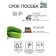 Cucumber seeds "Parisian root", 0.5 g