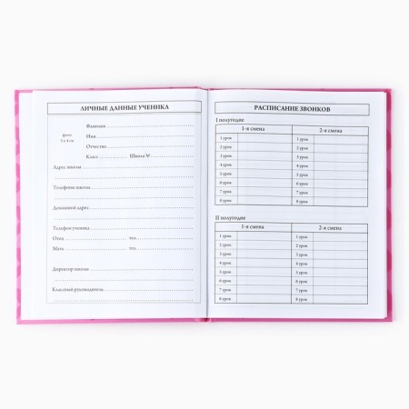 School diary for grade 1-11, in a solid cover, 40 l. "XO"-2