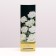 Package package packing, two -layer, "peonies", gold, 8 x 5 x 24 cm