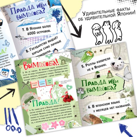 The book “Truth or Lies. 24 facts about Japan ", A5, anime-1