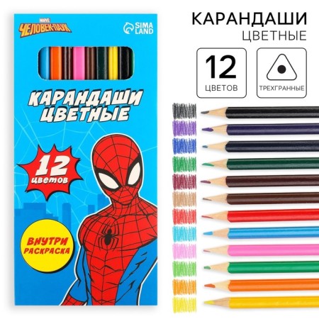 Pencils colored 12 flowers, spider-man