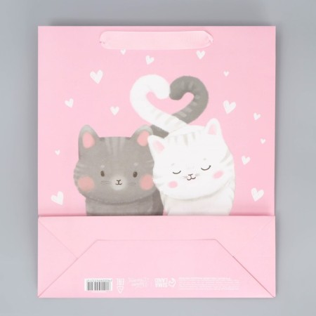 Package Gift Laminated Vertical, packaging, “Love and heat”, m 26 x 30 x 9 cm-6