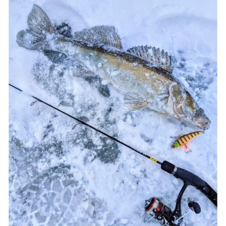 Wobbler sinking vertical LJ Pro Series Basara Vib S, 8 cm, color 146-3