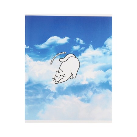 Notebook 96 sheets in a cage, Calligrata "Cats in the sky", cardboard cover, VD-LK, OFSET Block, MIX-4
