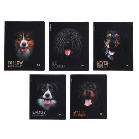A notebook of 96 sheets in the Erichkrause "Dog", matte lamination, an offset block 100%, mix