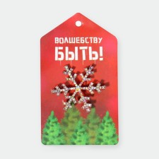 Brooch New Year's 