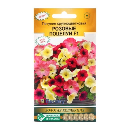 Large flowers of petunia flowers "pink kisses", mixture, 10 pcs