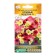 Large flowers of petunia flowers "pink kisses", mixture, 10 pcs