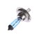Car lamp Clearlight Whitelight, H7, 12 V, 55 W, set 2 pcs