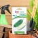Cucumber seeds "Shosh", F1, 5 pcs.