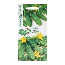 Seeds of cucumber 