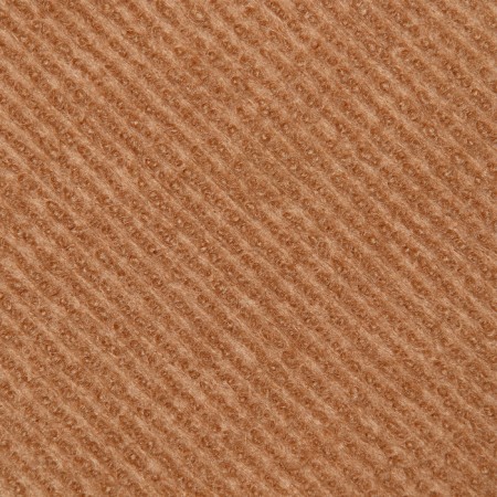 Clogging with impregnation "Piggon", FEP Carpet, 55x 13 cm, beige-5