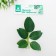 Decor for creativity "Leaves No. 8" set of 3 pcs.