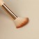 A set of makeup brushes “Dams”, 7 objects, a button cover, multi -colored