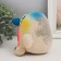 Growing gift Eco -Zhizhivchik "Bullfinch" Gift packaging