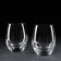 A set of glasses for whiskey "Turbulence", 500 ml, 2 pcs