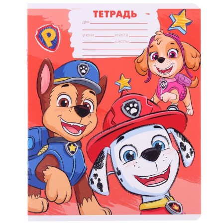 Notebook in a large cage 12 sheets, 5 types of mix, cover coated cardboard, puppy patrol-4