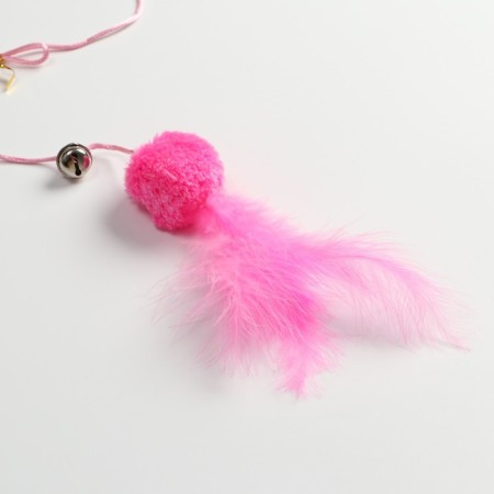 Domesticon-pink with a soft ball and feathers, pink-2
